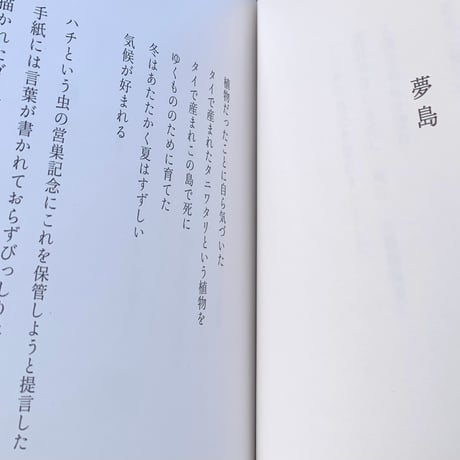 青柳菜摘｜亡船記