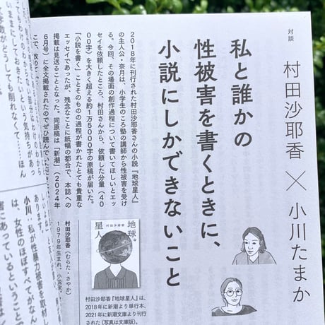 エトセトラ VOL.11「ジェンダーと刑法のささやかな七年」