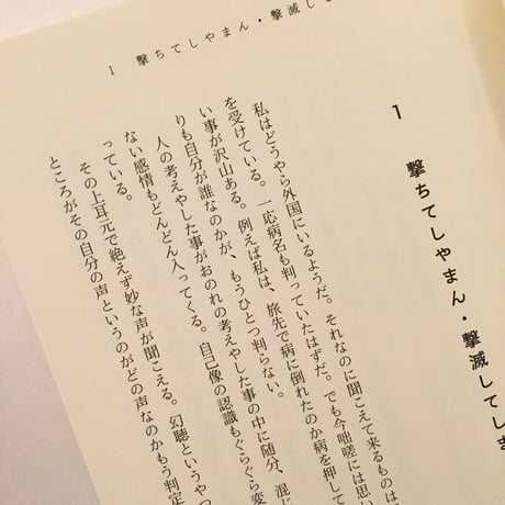 笙野頼子｜水晶内制度