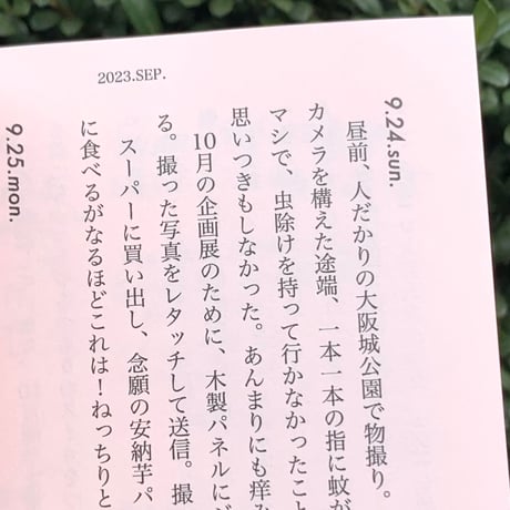 ユッカ・バッファロー｜ユッカっ記　①薄明のレモン・パープル