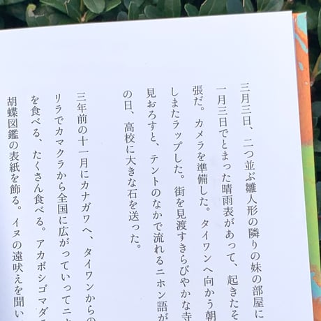 青柳菜摘｜亡船記