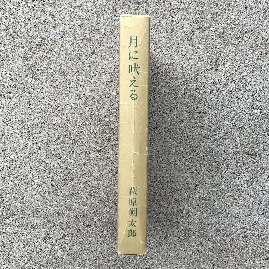 64dc55b2f19c23003493dc52