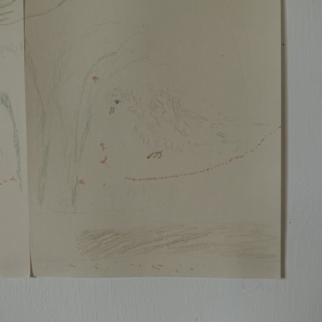 土屋未久｜drawing-3（作品）