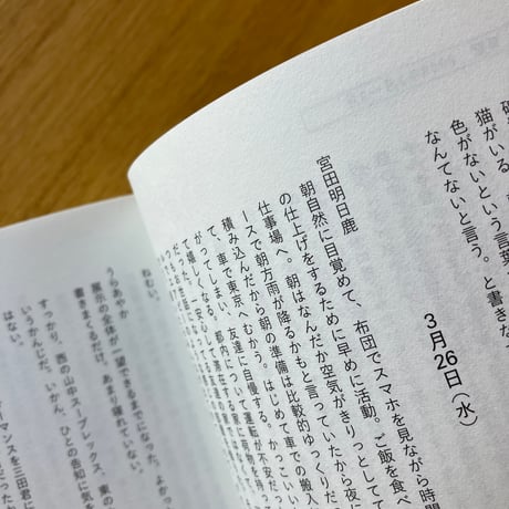 同伴分動態