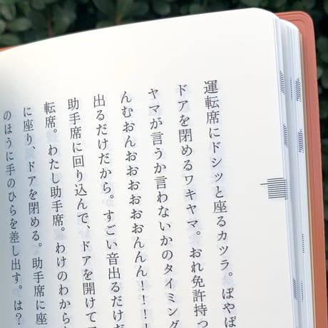 仲西森奈｜名付けたものどもを追う 道筋を歩きながら、