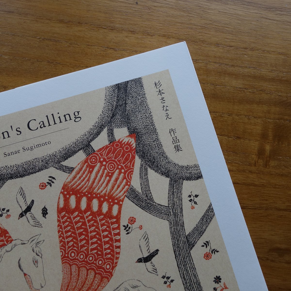 杉本さなえ｜Season's Calling | ゆっくりつたえるストアー