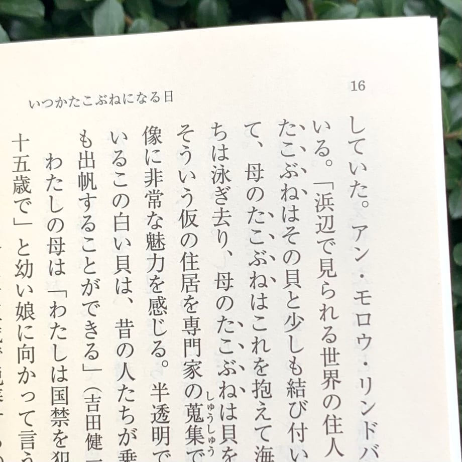 65ab4d403ffd8e30c5c731c3