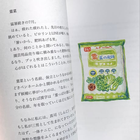 保立葉菜｜それぞれのそれぞれ vol.3　気晴らしの雑記帳