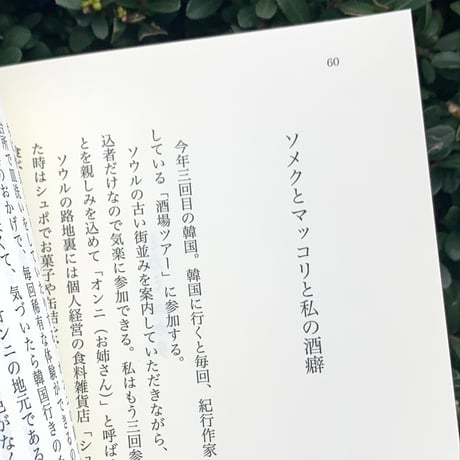 編：かもめと街｜たらふく