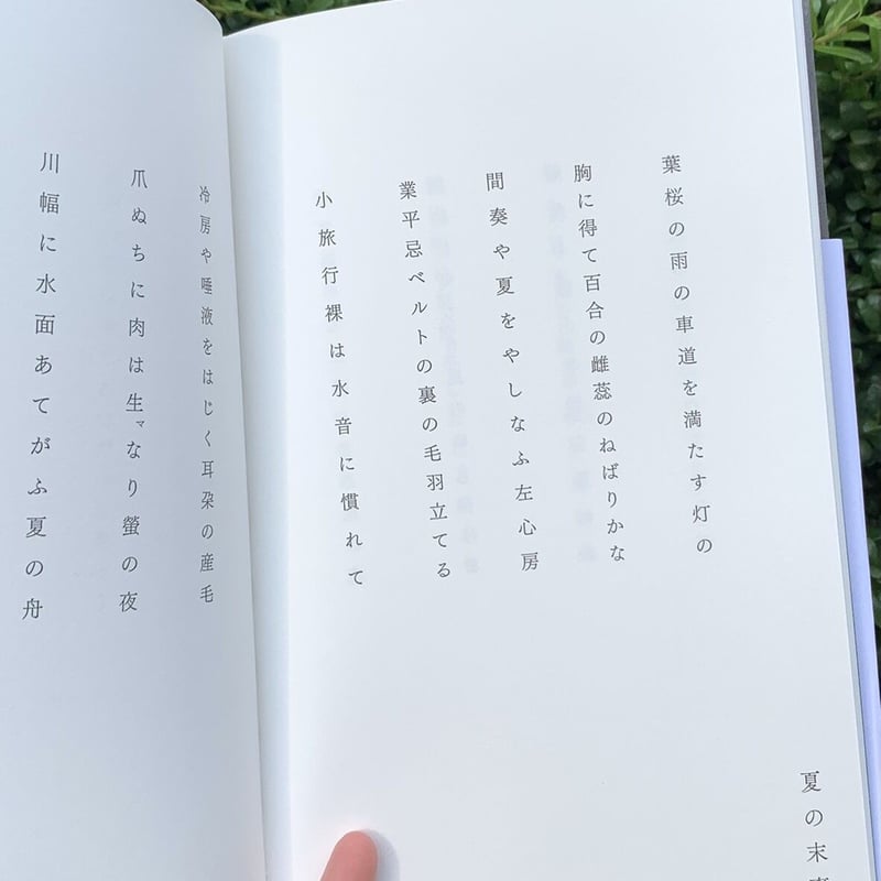 佐藤文香 | 菊は雪 | SUNNY BOY BOOKS