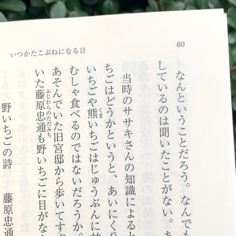 小津夜景｜いつかたこぶねになる日（文庫版）