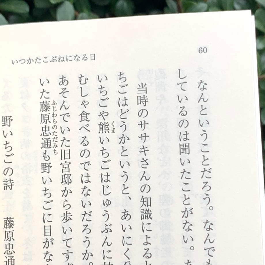 65ab4d403ffd8e30c5c731c3