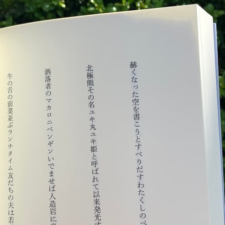 編：四ッ谷龍｜編棒を火の色に替えてから　冬野虹詩文集
