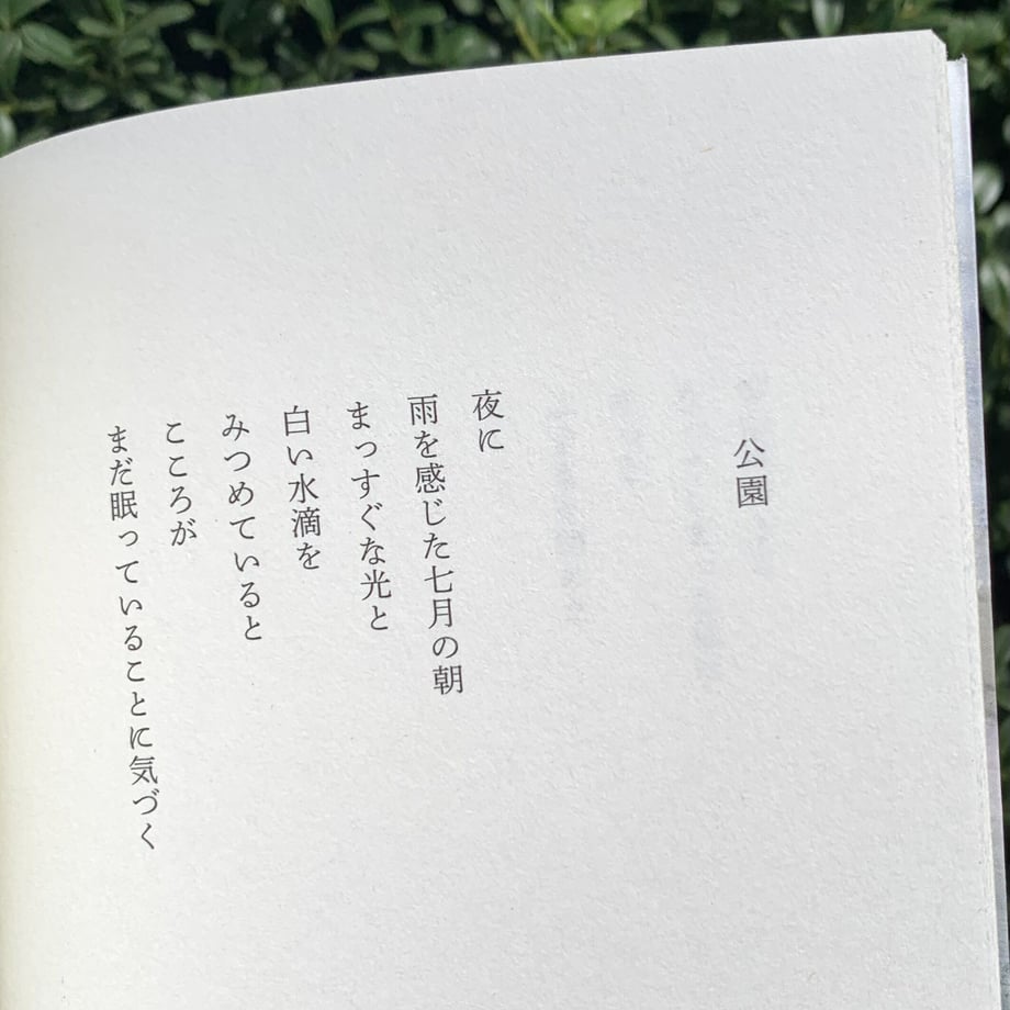 6522655ca1a4860039dc53fc