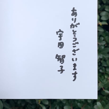 宇田智子｜アーケードの本