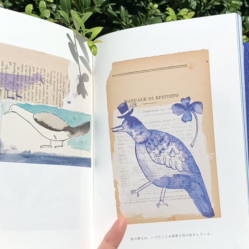 トラネコボンボン　原画　中西なちお　鳥　水彩画　コラージュ 中西なちお | BIRD | ゆっくりつたえるストアー