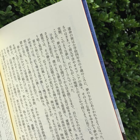著：シャマン・ラポガン、訳：下村 作次郎 ｜大海に生きる夢―大海浮夢ー