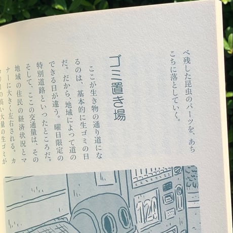 著：佐々木洋　絵：中村一般｜生きものハイウェイ