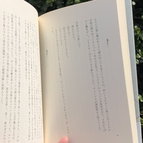 著：レアード・ハント　訳：柴田元幸｜インディアナ、インディアナ