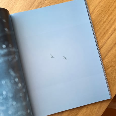 竹村麻紀子｜aoi