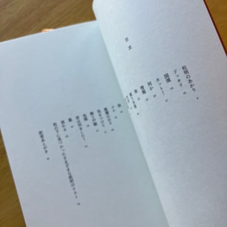 バリー・ユアグロー＝著、柴田元幸＝訳｜松明のあかり