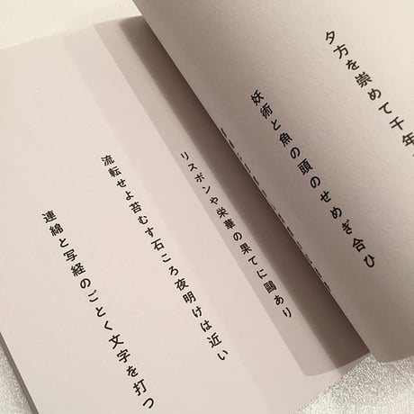 管啓次郎｜狂狗集  Mad Dog Riprap