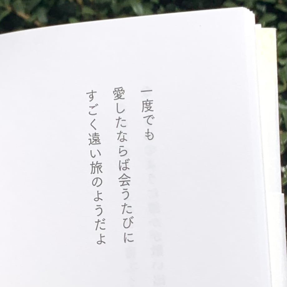 65e17eee1d2b9a127cf4d326