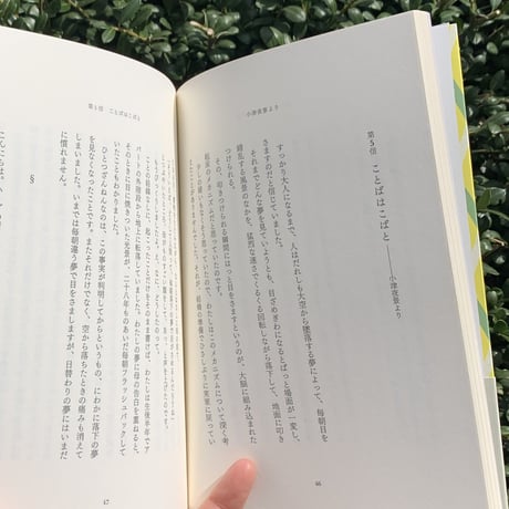 小津夜景　須藤岳史｜なしのたわむれ