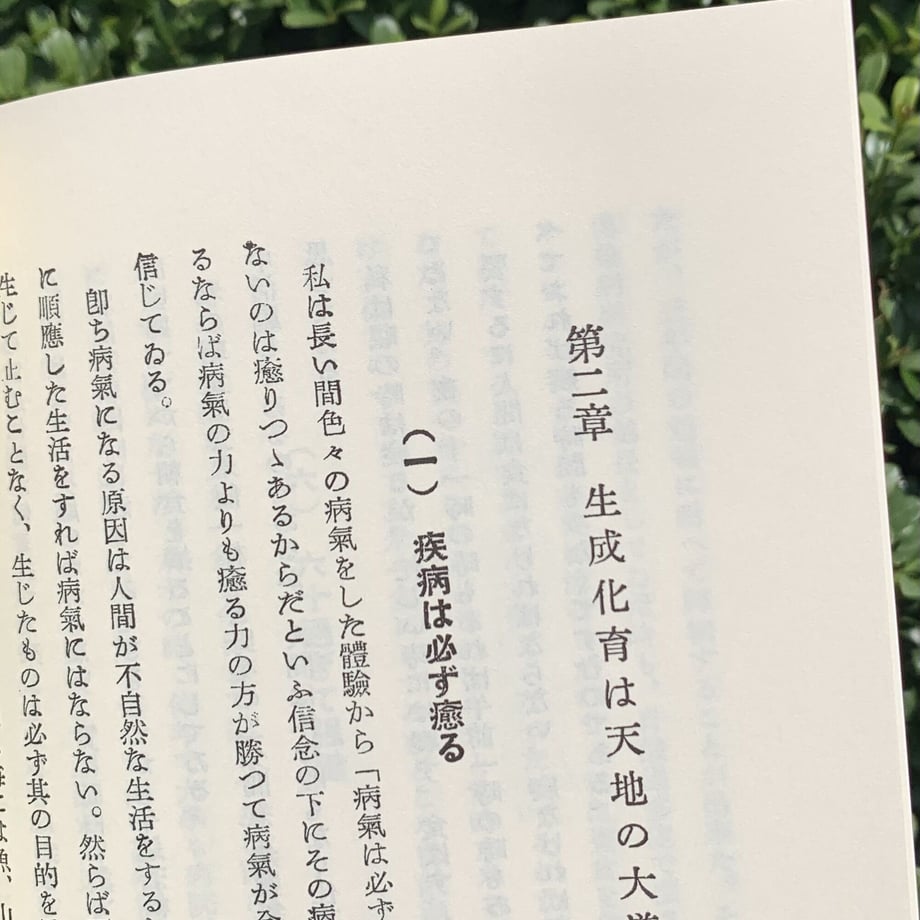 64ed8337bd758c00305aa806