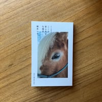 植本一子｜ここは安心安全な場所