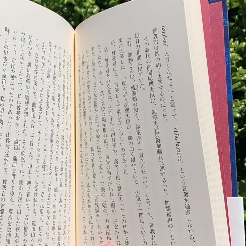 上林曉｜上林暁傑作小説集 孤独先生 | SUNNY BOY BOOKS