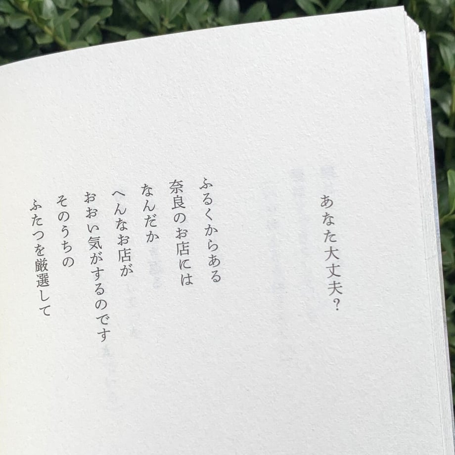 6522655ca1a4860039dc53fc