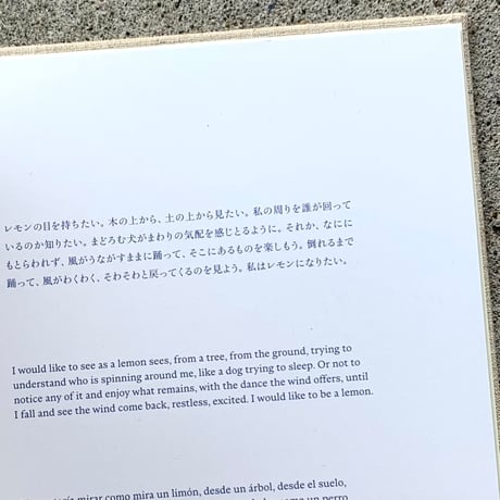 野沢裕｜「→□←」