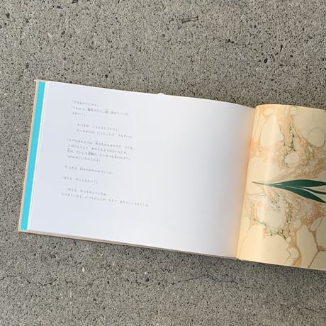 末沢寧史（文）・小林豊（絵）｜海峡のまちのハリル