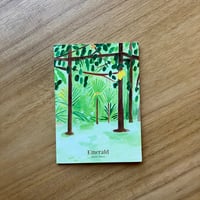 箕輪麻紀子｜Emerald