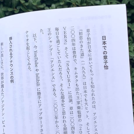 山本佳奈子｜中国と表象　章子怡（チャン・ツィイー）の性描写と顔