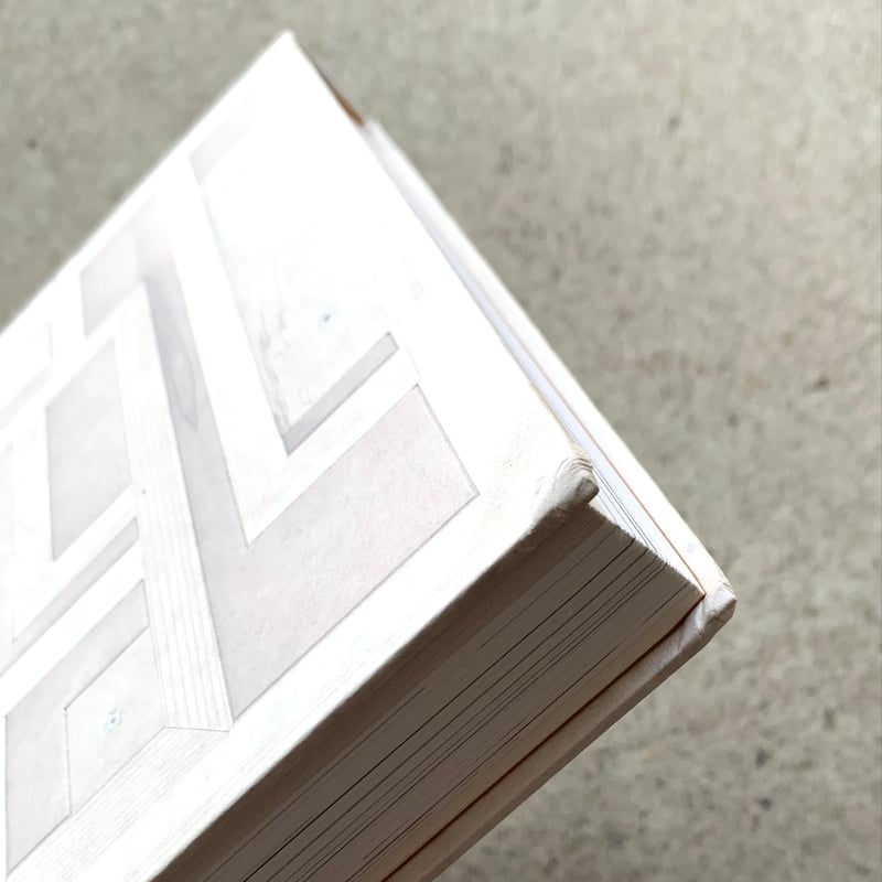 豊嶋康子 | 豊嶋康子作品集 1989−2022（古） | SUNNY BOY BOOKS 