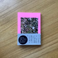 図Yカニナ｜書きはじめのころ・ある十月