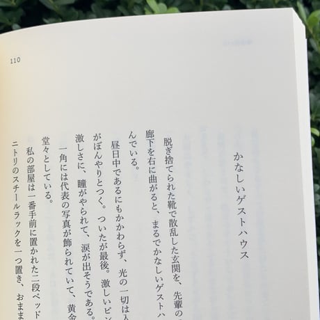 小原晩｜これが生活なのかしらん