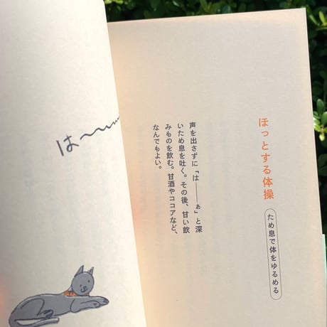著：川﨑智子　絵：ワタナベケンイチ｜日々のぽかん体操　日常の動作を体操に変える