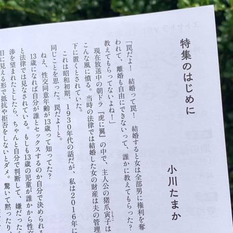 エトセトラ VOL.11「ジェンダーと刑法のささやかな七年」