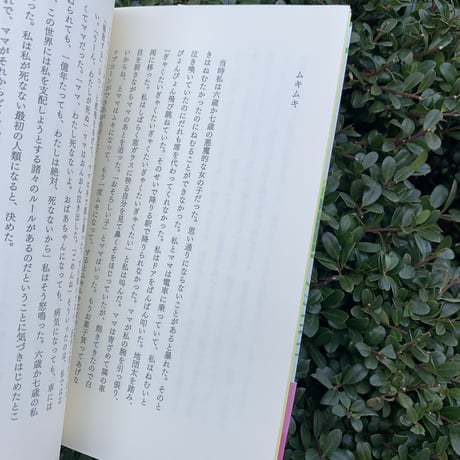 私と鰐と妹の部屋