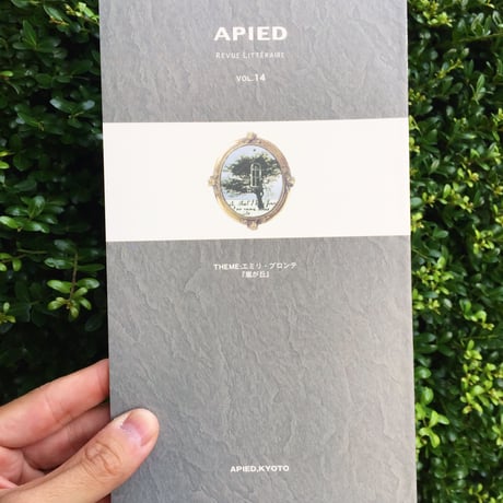 APIED 各号