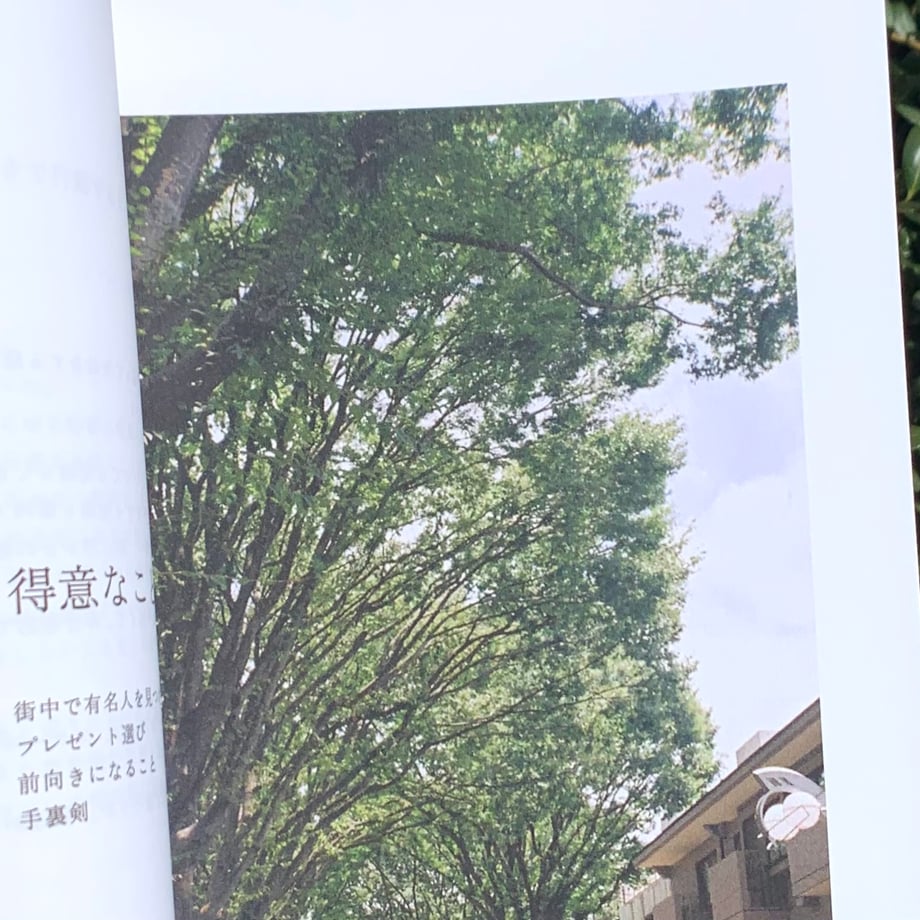 65e1a08306b01a1c62ff9a01
