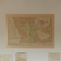 土屋未久｜砂漠と海（作品）