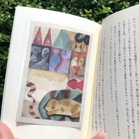 ちいさないきものと日々のこと