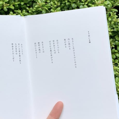 真名井大介｜生きとし生けるあなたに