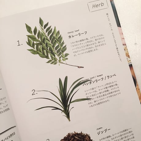 ミールス、ダルバート、ライス＆カリー、３つの地域の美味しいカレー
