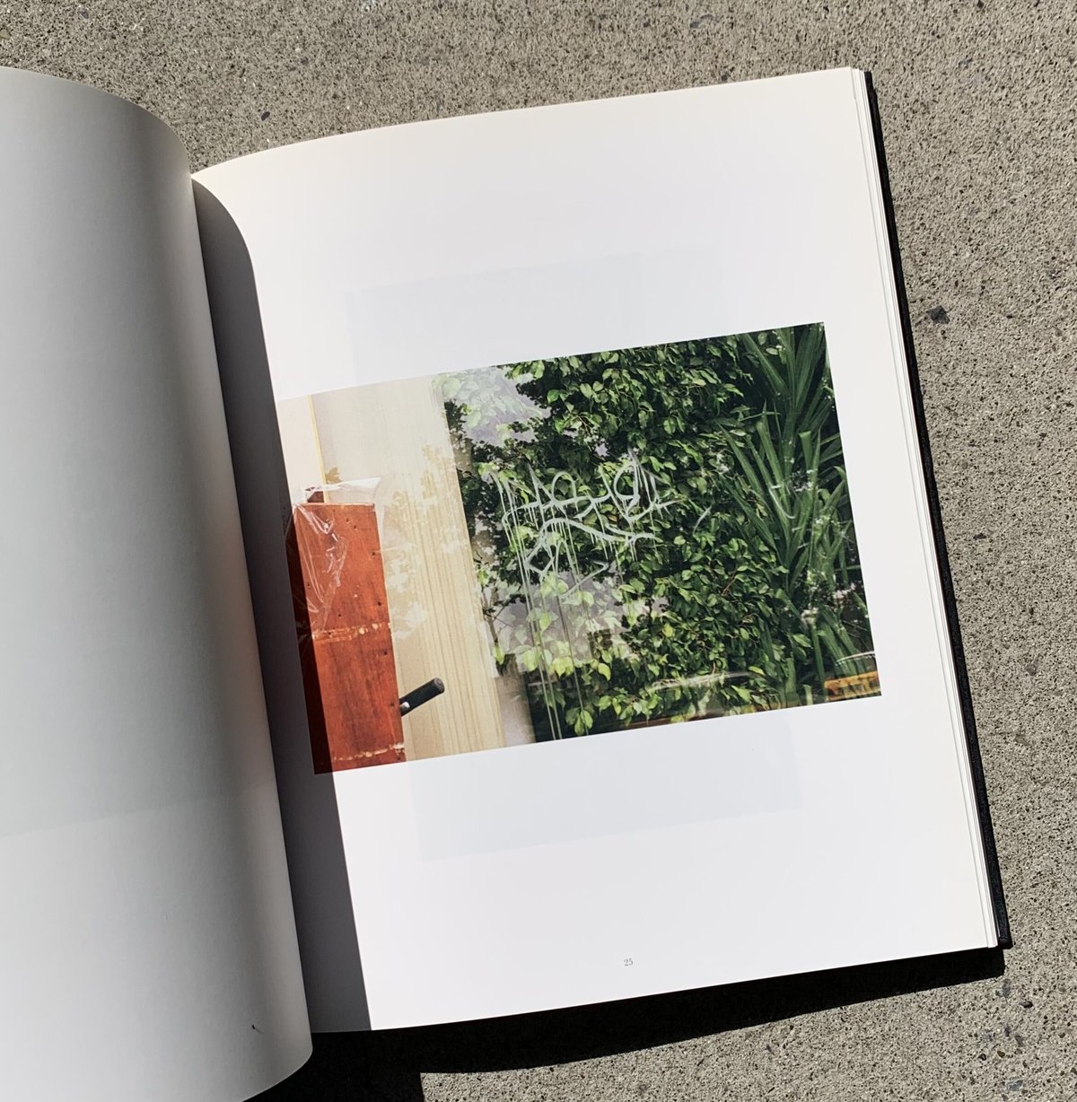 WILLIAM EGGLESTON｜PARIS （古） | SUNNY BOY BOOKS