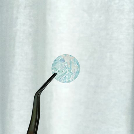 清水美紅｜透けるレターセット、ユートピアが聴こえる / 海